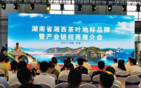 湘西茶叶地标品牌闪耀长春农博会 跨区域合作共拓新未来